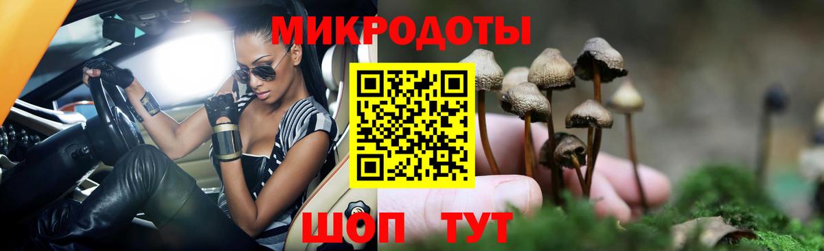 Псилоцибиновые грибы мухоморы  где купить наркотик  Звенигород  Вход с VPN 